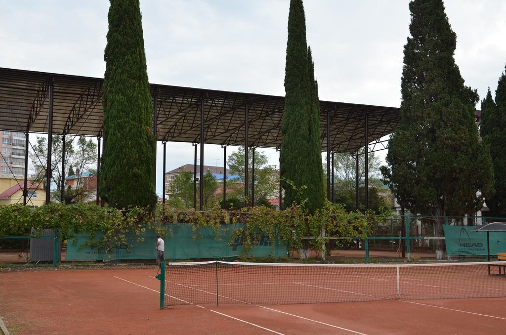 Теннисные сборы в Сочи июнь 2024 корты Golden Tennis Club